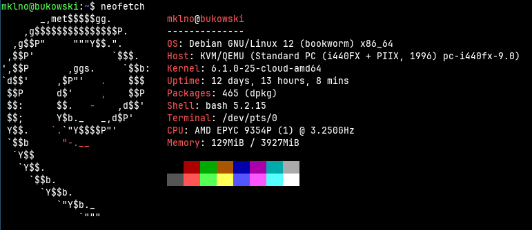 neofetch output